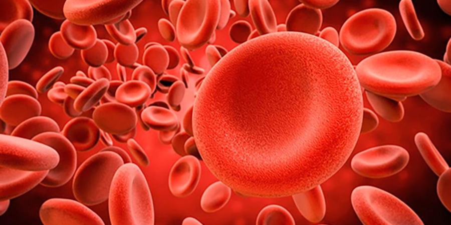 Qual a importância da microscopia