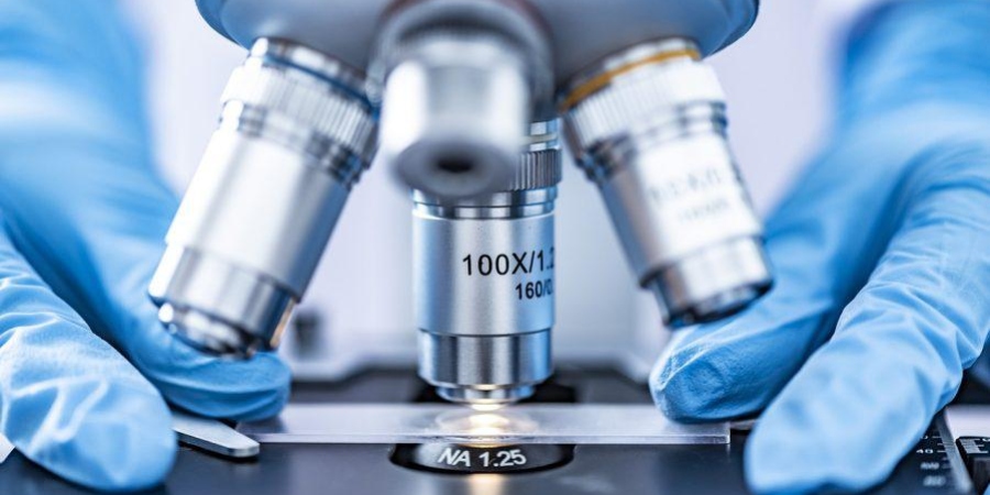 Qual a importância da microscopia
