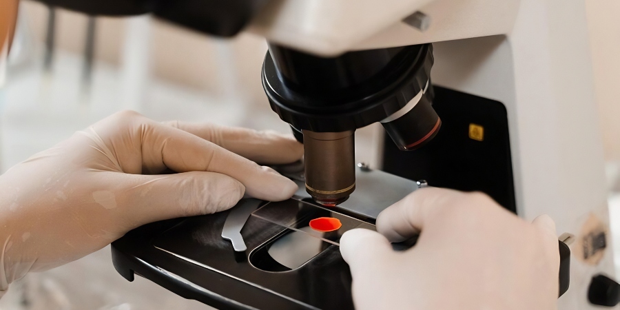 Qual a importância da microscopia